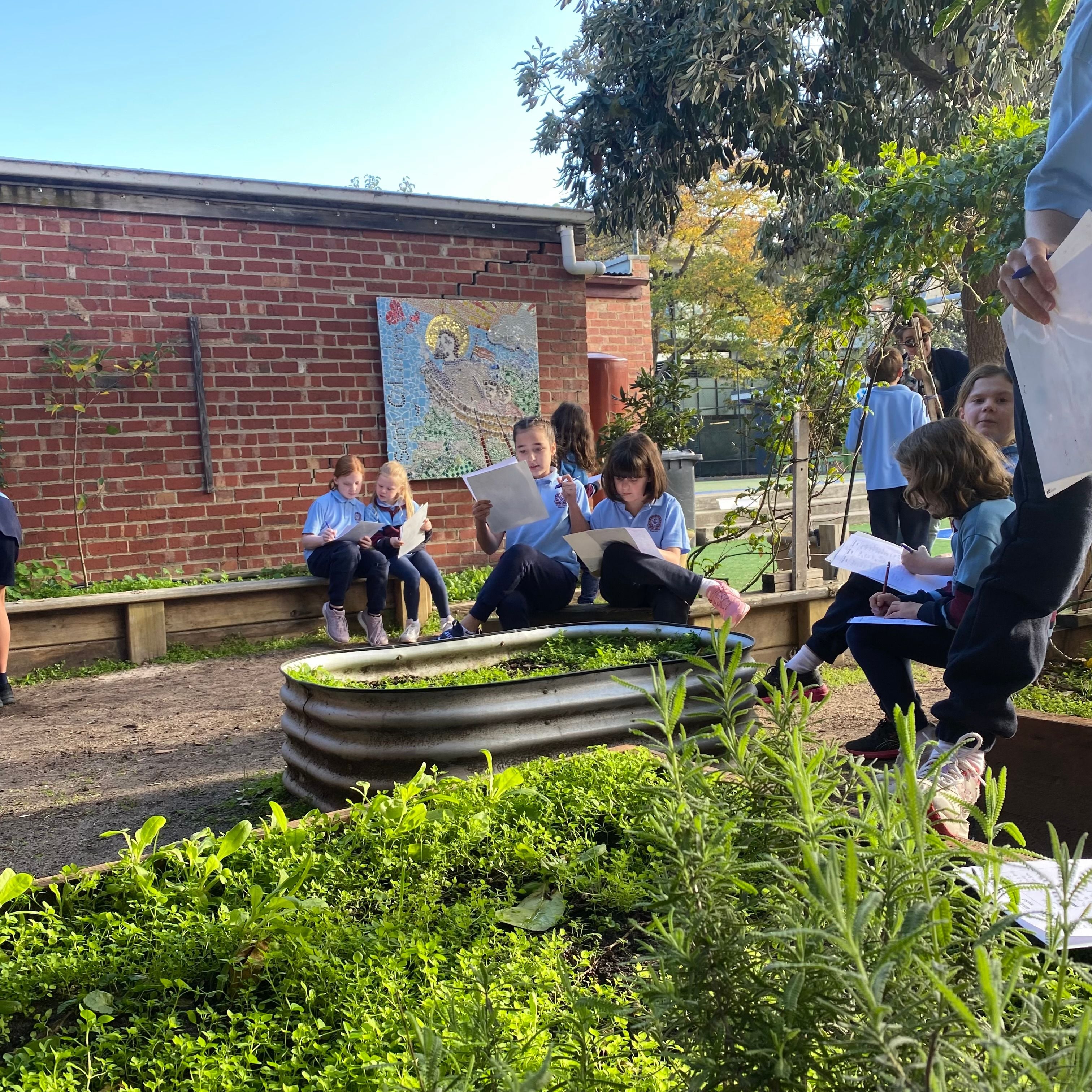 Eco Warriors Eco Warriors